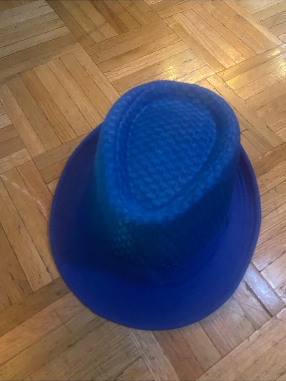 Blue Fedora Hat